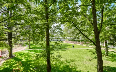 Place Ambroise Courtois – magnifique T4